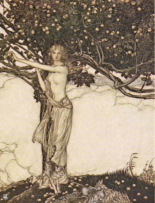 Arthur Rackham0.jpg